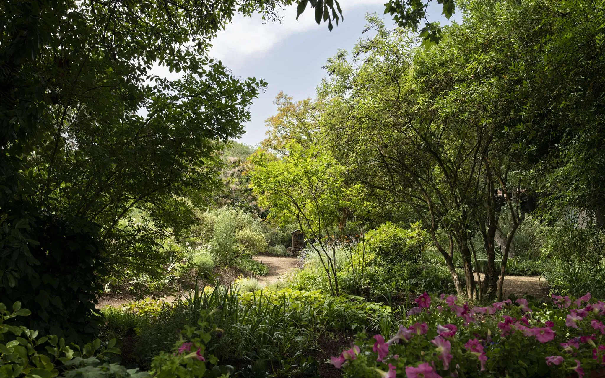 Jardin d'agrément de l'Harmas Jean-Henri Fabre © MNHN - A. Iatzoura